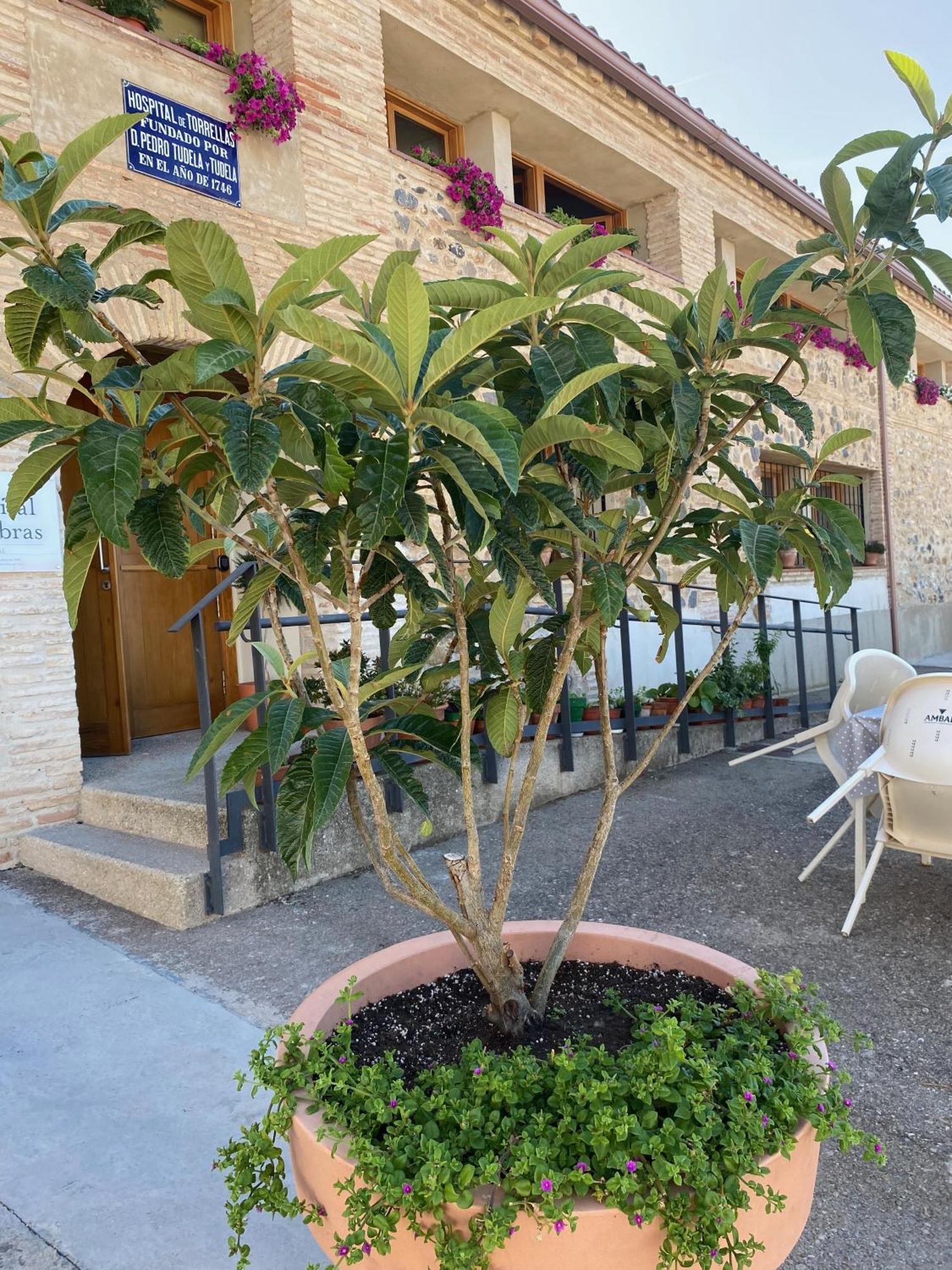 Casa Rural Hospital De Las Palabras Torrelles Exterior photo